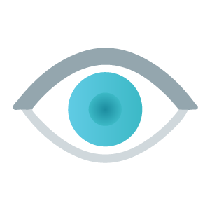 icono-inspector